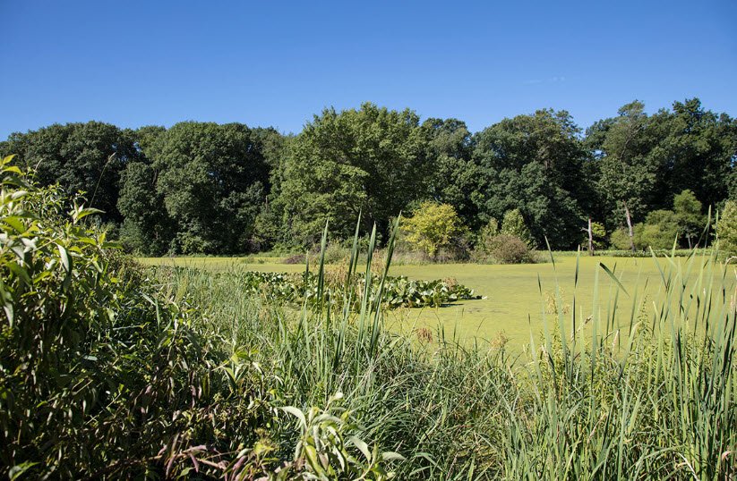 Hartman Arboretum, United States